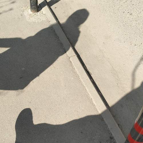 Photo #13480416