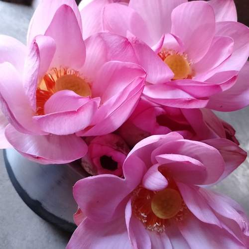 Photo #13480497