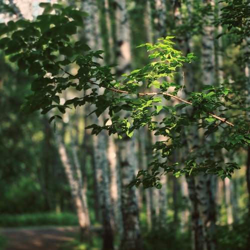 Photo #13480587