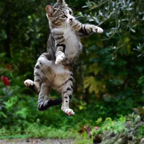 Photo #13480607