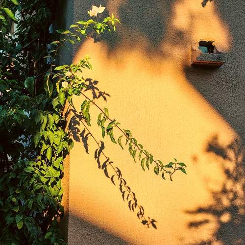 Photo #13480615