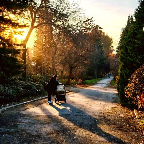 Photo #13480616