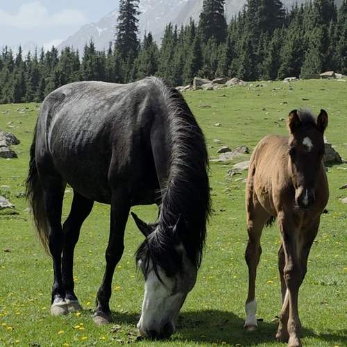 Photo #13480719