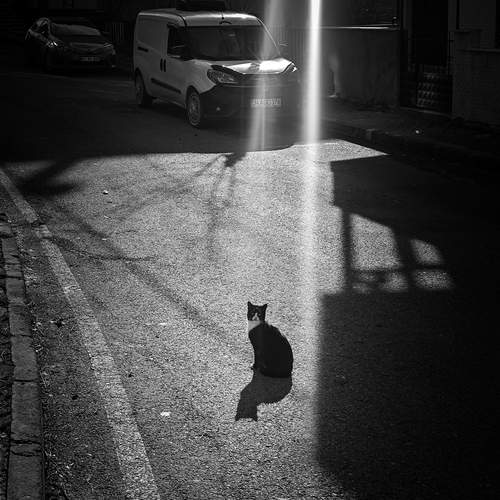 Photo #13480803