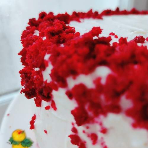 Photo #13480828