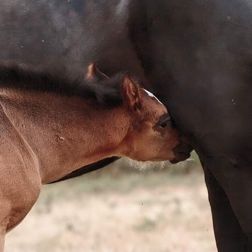 Photo #13480917