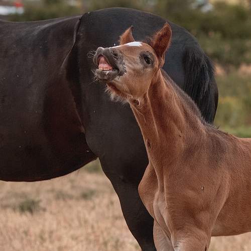 Photo #13480919