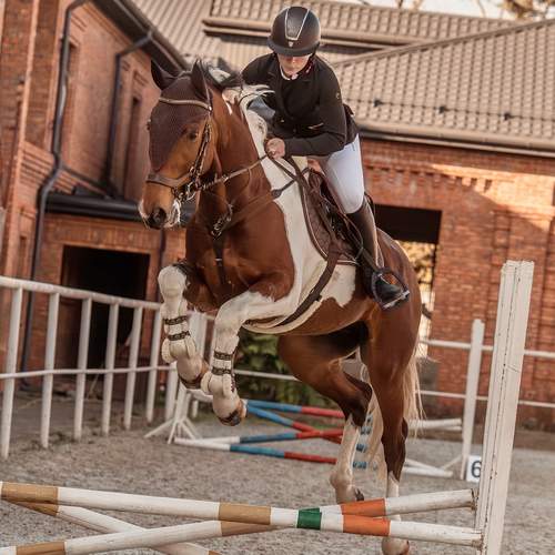 Photo #13480940