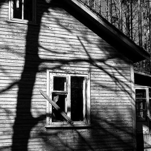 Фотография #13481311