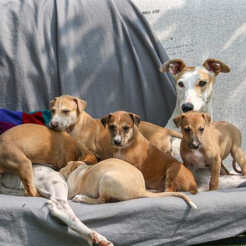 Photo #13481395