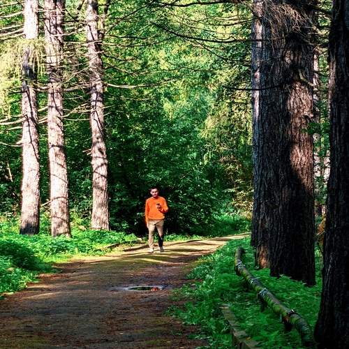 Photo #13481444
