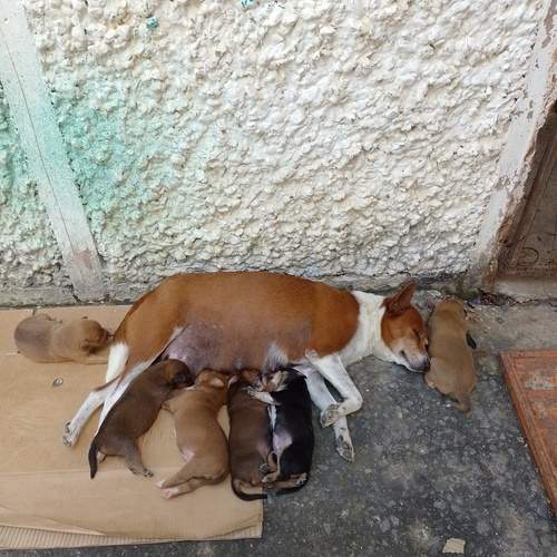 Photo #13481594