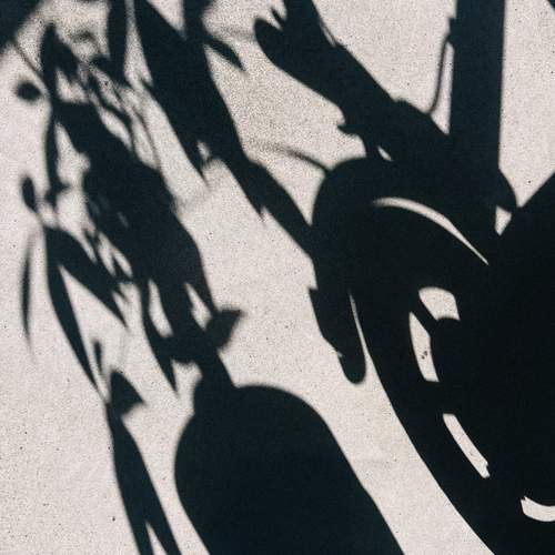 Photo #13481616