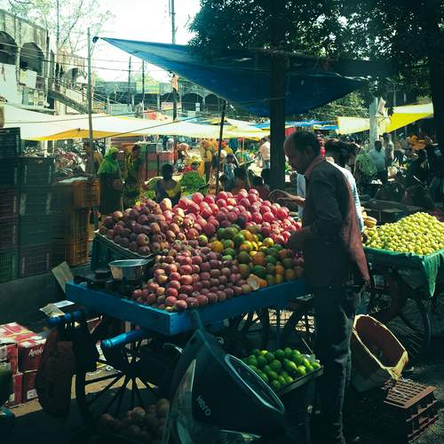Photo #13481781