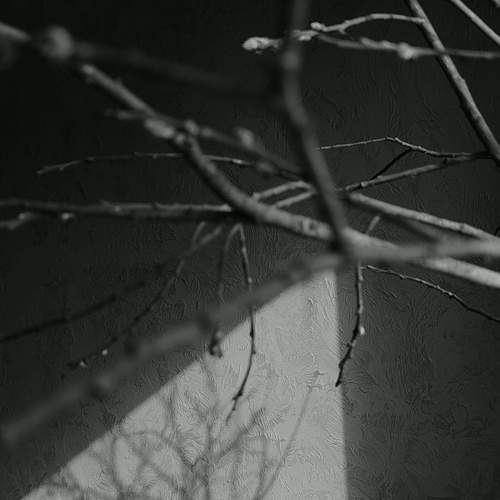 Photo #13481882