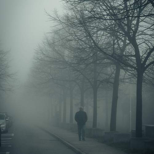 Photo #13481948