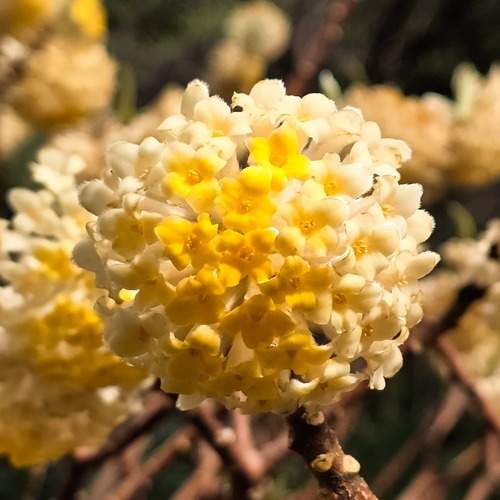 Photo #13482176