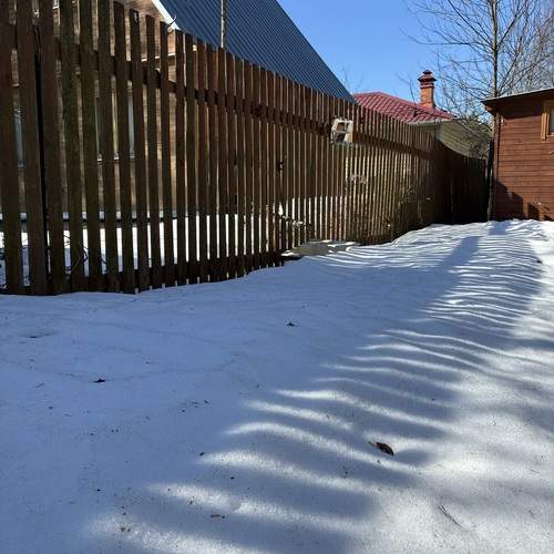 Photo #13482399