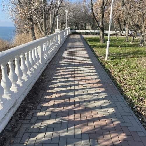 Photo #13482413