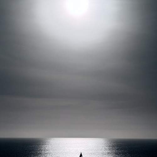 Photo #13482519