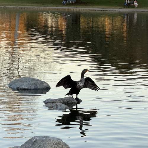 Photo #13482520