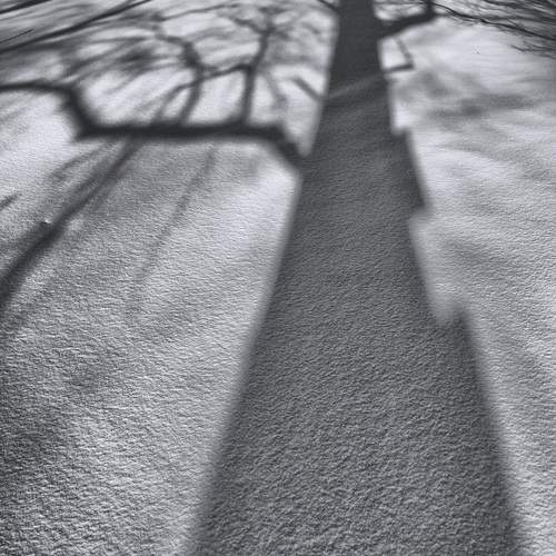 Фотография #13482592