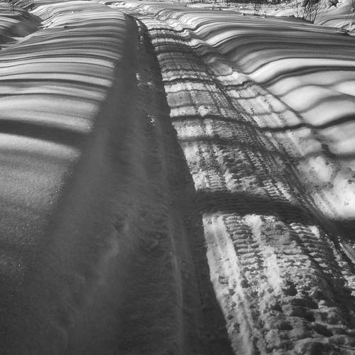 Фотография #13482594