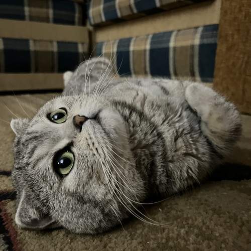 Photo #13482648