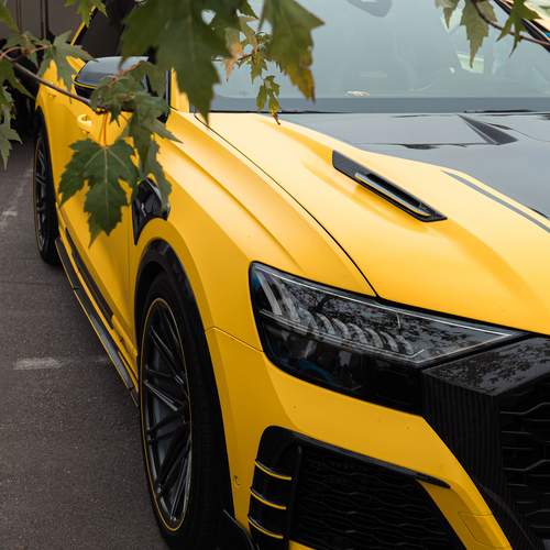 Photo #13482978