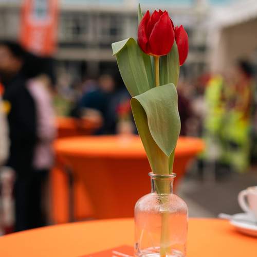 Photo #13482987