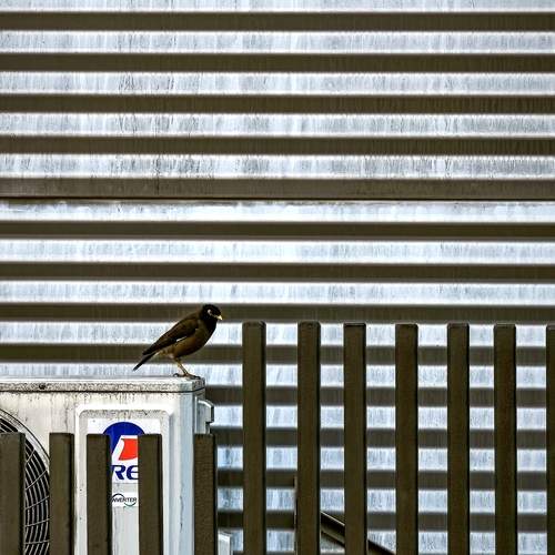 Photo #13483009