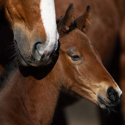 Фотография #13483044