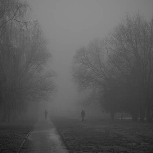 Photo #13483051