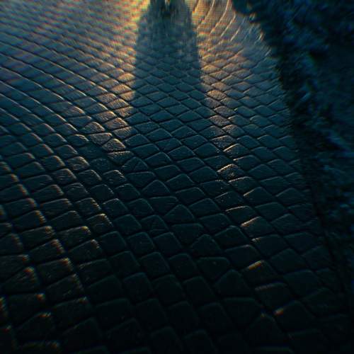 Photo #13483066