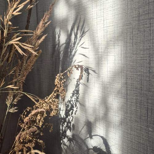 Photo #13483157