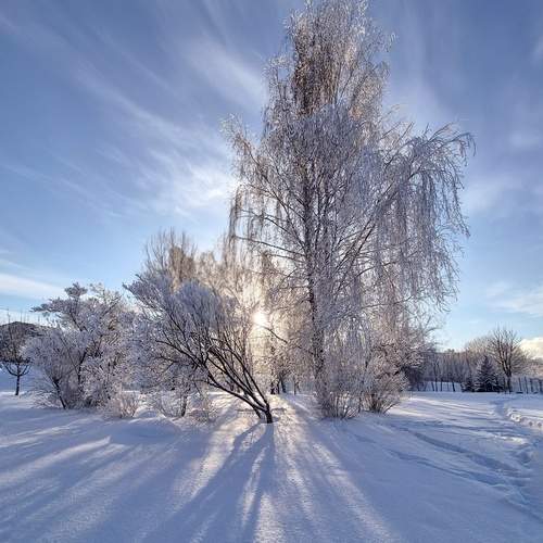 Photo #13483158