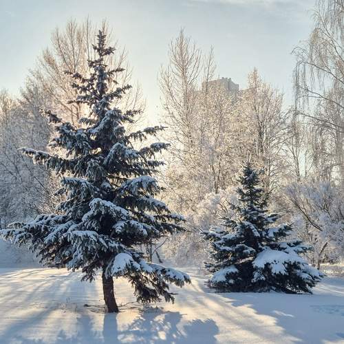 Photo #13483159