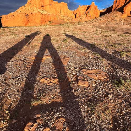 Фотография #13483185