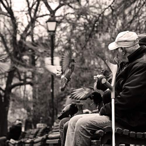 Photo #13483245