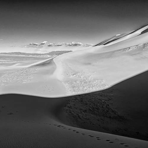 Фотография #13483275