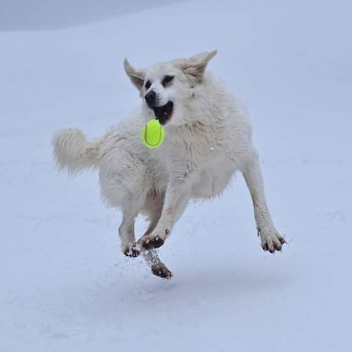 Photo #13483502