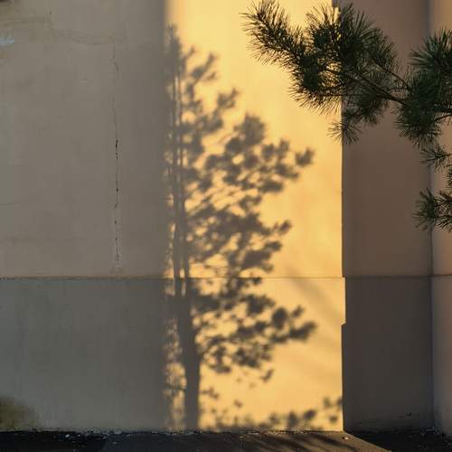Photo #13483503