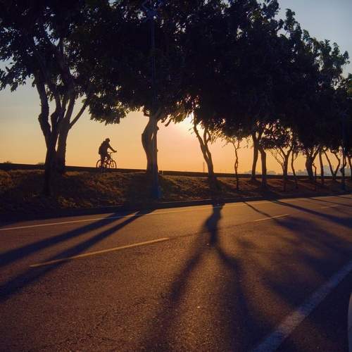 Towards the sunset