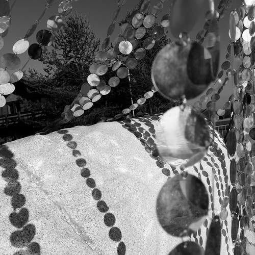 Photo #13483628