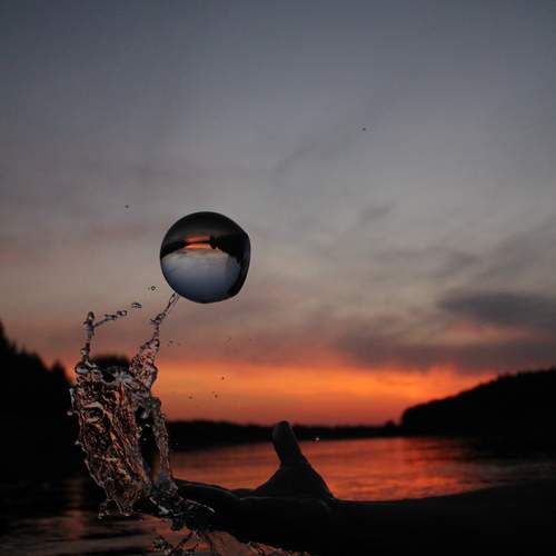 Photo #13483649