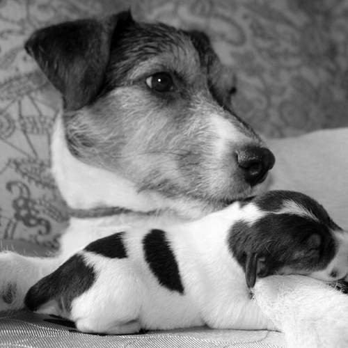 Фотография #13483661