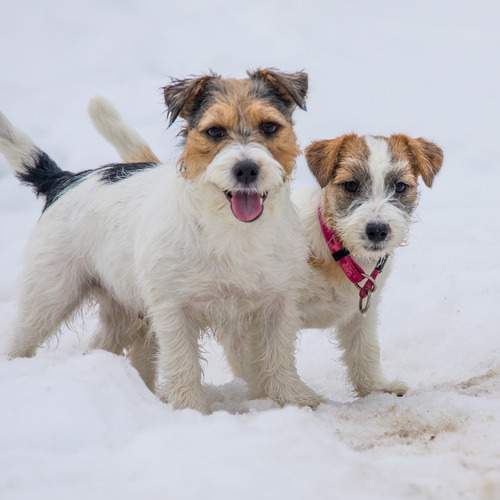 Фотография #13483689