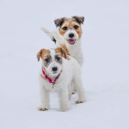 Фотография #13483690