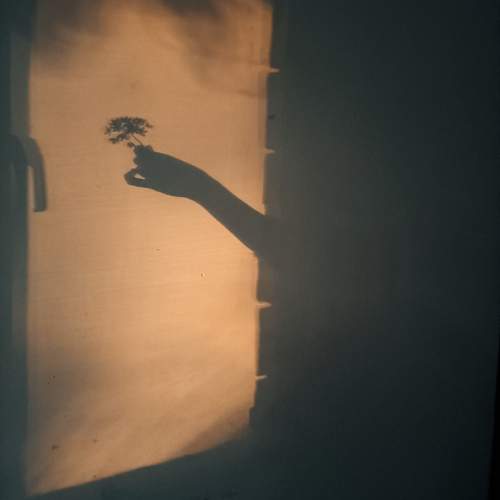 Photo #13483793