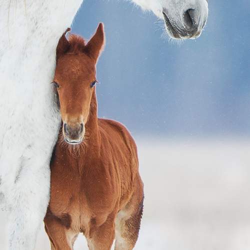 Фотография #13483799